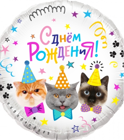Котики, С Днем Рождения!